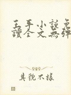 王平小说免费阅读全文无弹窗