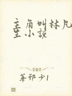 主角叫林凡的重生小说