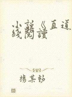小说《直道》在线阅读
