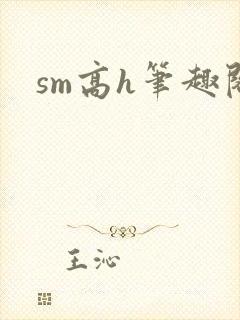 sm高h笔趣阁