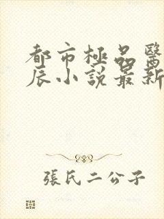 都市极品医神叶辰小说最新章节