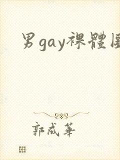 男gay裸体图