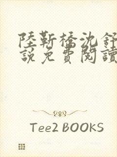 陆靳桥沈舒宁小说免费阅读最新章节