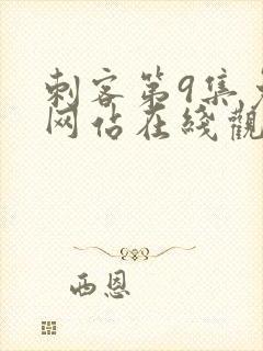 刺客第9集免费网站在线观看