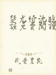 楚尤绮沈临砚小说免费阅读最新章节封面