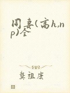 同妻(高h,np)全