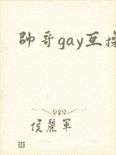帅哥gay互操