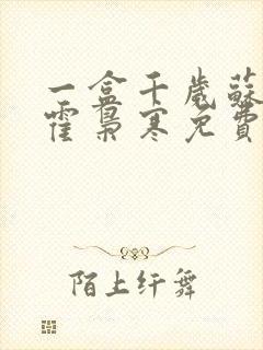 一盒千岁苏婉,霍枭寒免费阅读封面