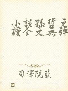 小说孙哲免费阅读全文无弹窗