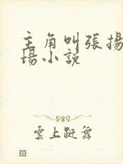 主角叫张扬的官场小说