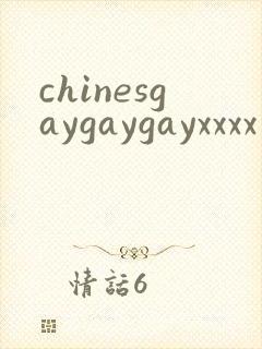 chinesgaygaygayxxxx封面