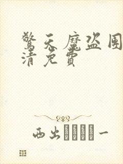 惊天魔盗团2高清免费