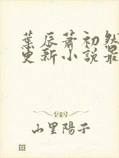 叶辰萧初然最快更新小说最新章节