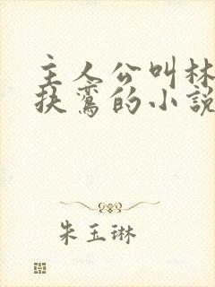 主人公叫林辰柳扶鸾的小说