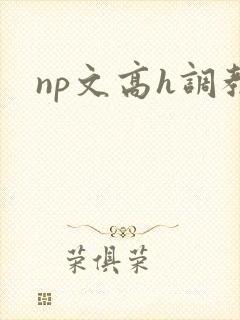 np文高h调教