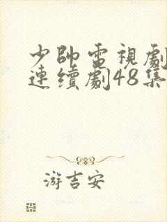 少帅电视剧免费连续剧48集