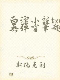 白洁小说txt无弹窗笔趣阁封面