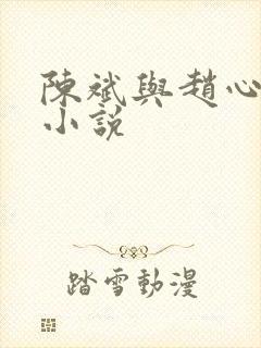 陈斌与赵心媚的小说