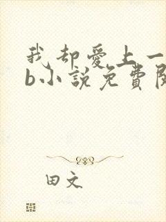 我却爱上一个sb小说免费阅读无弹窗封面