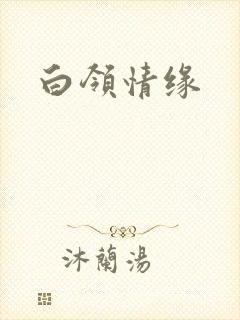 白领情缘