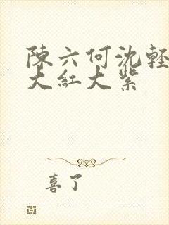 陈六何沈轻舞 大红大紫