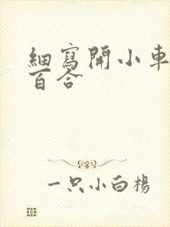 细写开小车车的百合