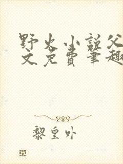 野火小说父女全文免费笔趣阁