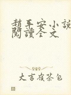 赵平安小说免费阅读全文