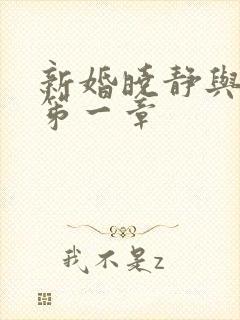 新婚晓静与翁公笫一章