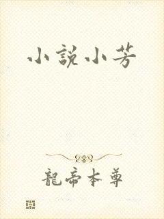 小说小芳