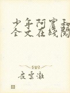 少年阿宾和房东全文在线阅读