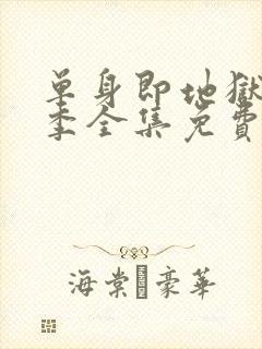 单身即地狱第4季全集免费观看封面