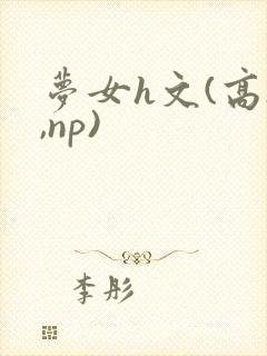 梦女h文(高h,np)
