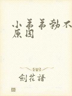 小弟弟勃不起的原因