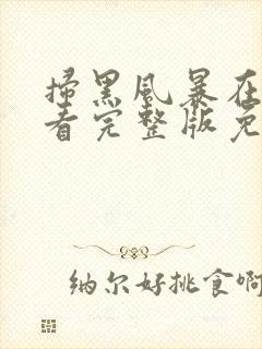 扫黑风暴在线观看完整版免费2021封面