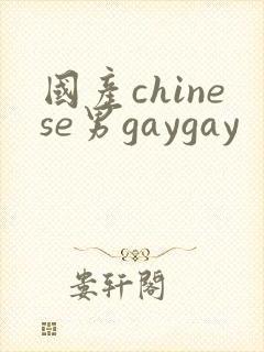 国产chinese男gaygay