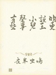 有声小说明朝那些事儿王更新