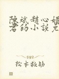 陈斌赵心媚高婉君的小说免费阅读封面