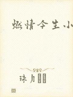 燃情今生小说