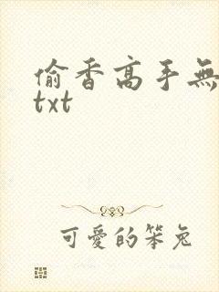 偷香高手无删减txt