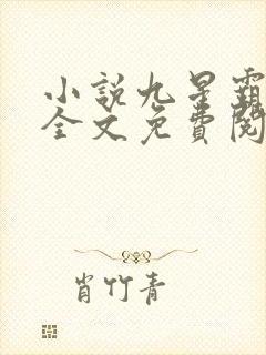 小说九星霸体诀全文免费阅读完整版
