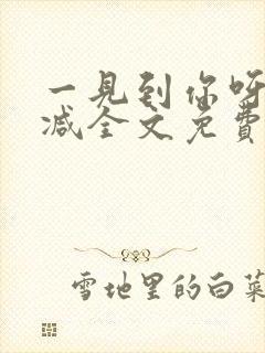 一见到你呀无删减全文免费阅读