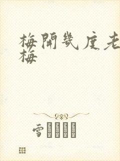 梅开几度老周张梅