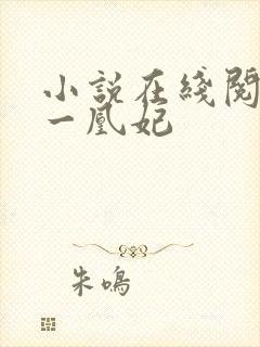 小说在线阅读第一凰妃封面