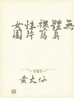 女性裸体无遮挡图片写真