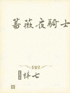 蔷薇夜骑士