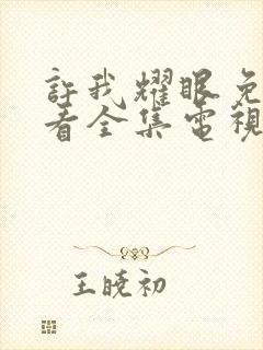 许我耀眼免费观看全集电视剧