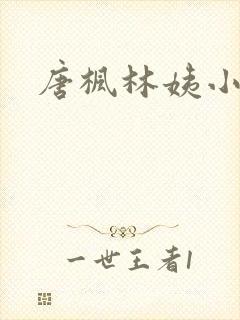 唐枫林姨小说