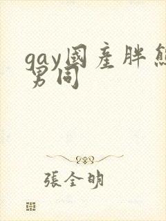 gay国产胖熊男同