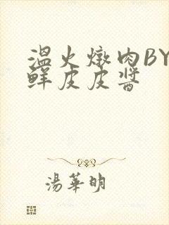 温火炖肉BY海鲜皮皮酱